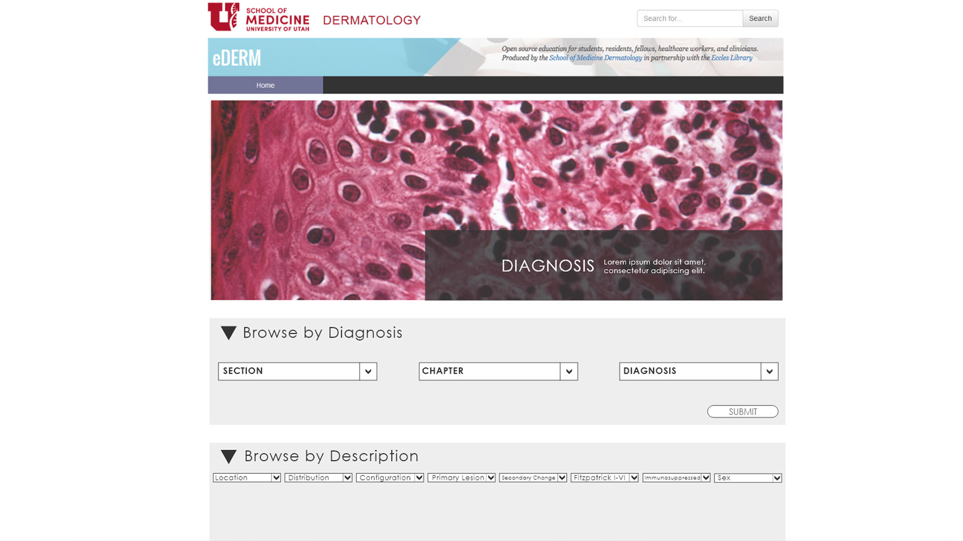Screenshot of the UtahDERM High Fidelity Prototype